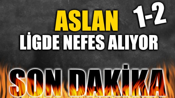 Aslan kendine geldi